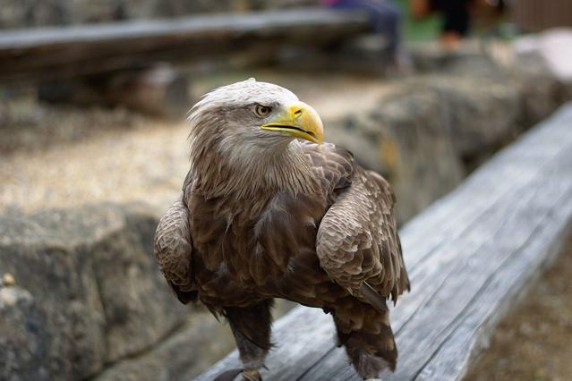 Zoologischer Garten Neunkirchen